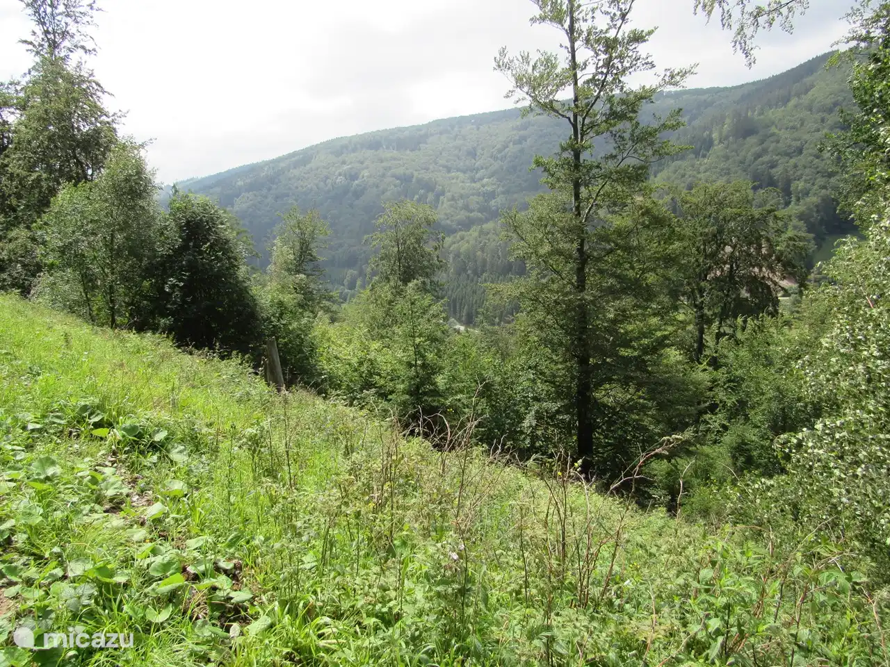 Aarbachtal, wo sich das Dorf Schwalefeld befindet