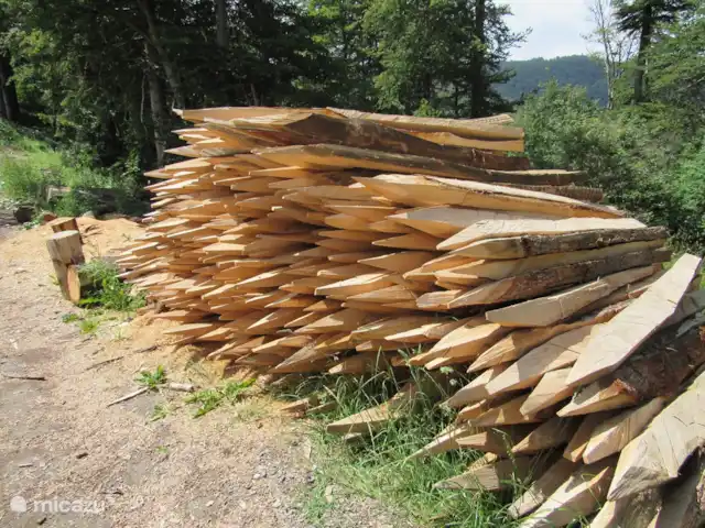 Haus Schwalefeld huren in Duitsland, Sauerland, Willingen - appartement Omgeving foto