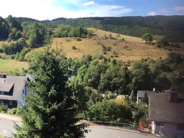 Haus Schwalefeld huren in Duitsland, Sauerland, Willingen - appartement Omgeving foto
