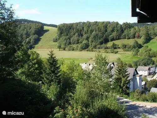 Die Skipiste im Sommer vom Balkon aus gesehen