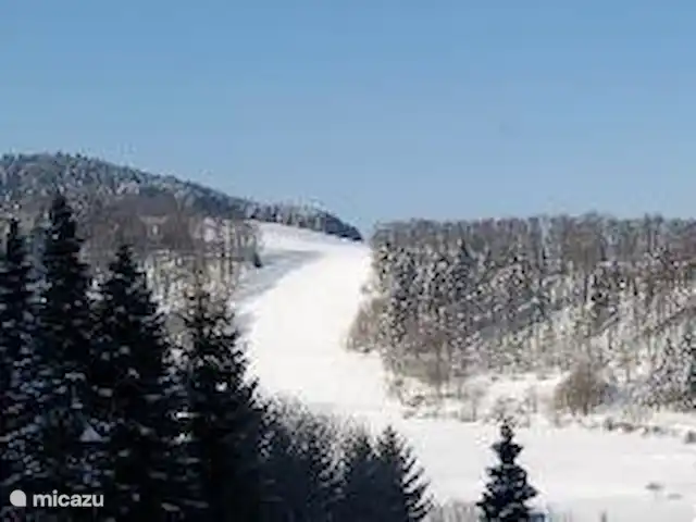 Haus Schwalefeld huren in Duitsland, Sauerland, Willingen - appartement uitzicht vanaf het balkon