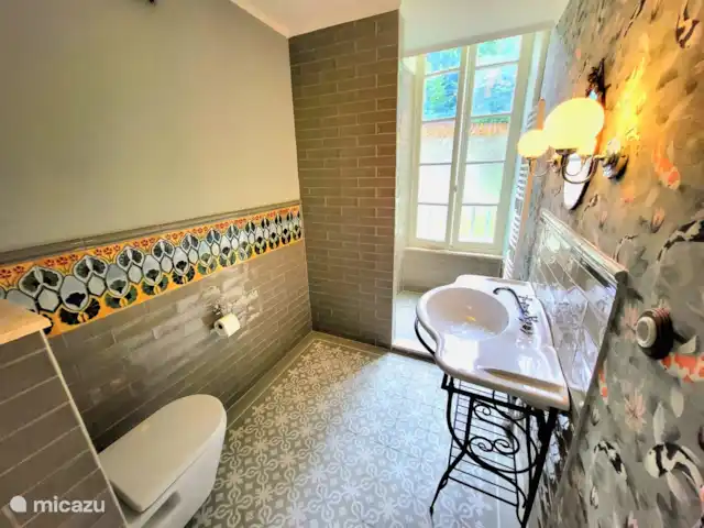 Villa Sainte Marie | France, Allier, Sanssat - maison de vacances La nouvelle salle de bain du bas, entièrement rénovée en 2023. De style Art Nouveau