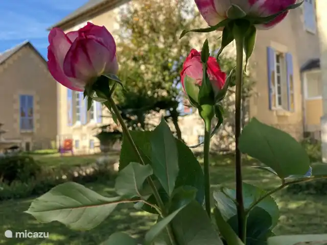 Villa Sainte Marie | France, Allier, Sanssat - maison de vacances Cour avant