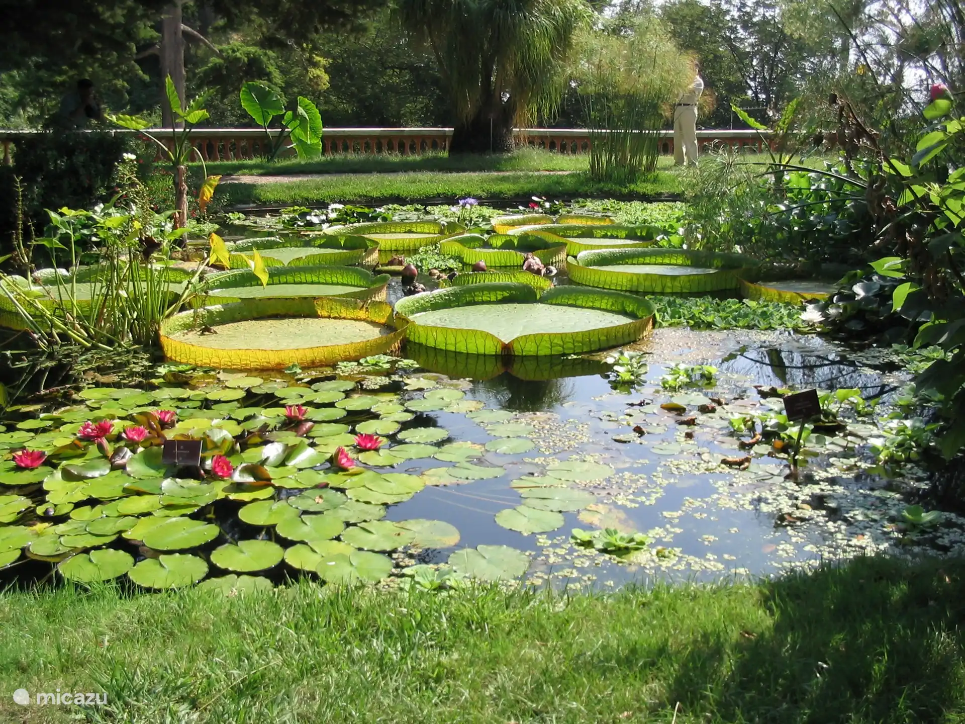 menton heeft veel tuinen om te bezoeken. deze is val rameh vlak naast de minigolf in menton garavan