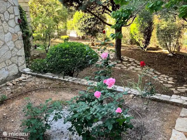 Location de Vacances Espagne, Costa de Valencia, Barx, villa - Villa Las Rocas Vue sur les oliviers