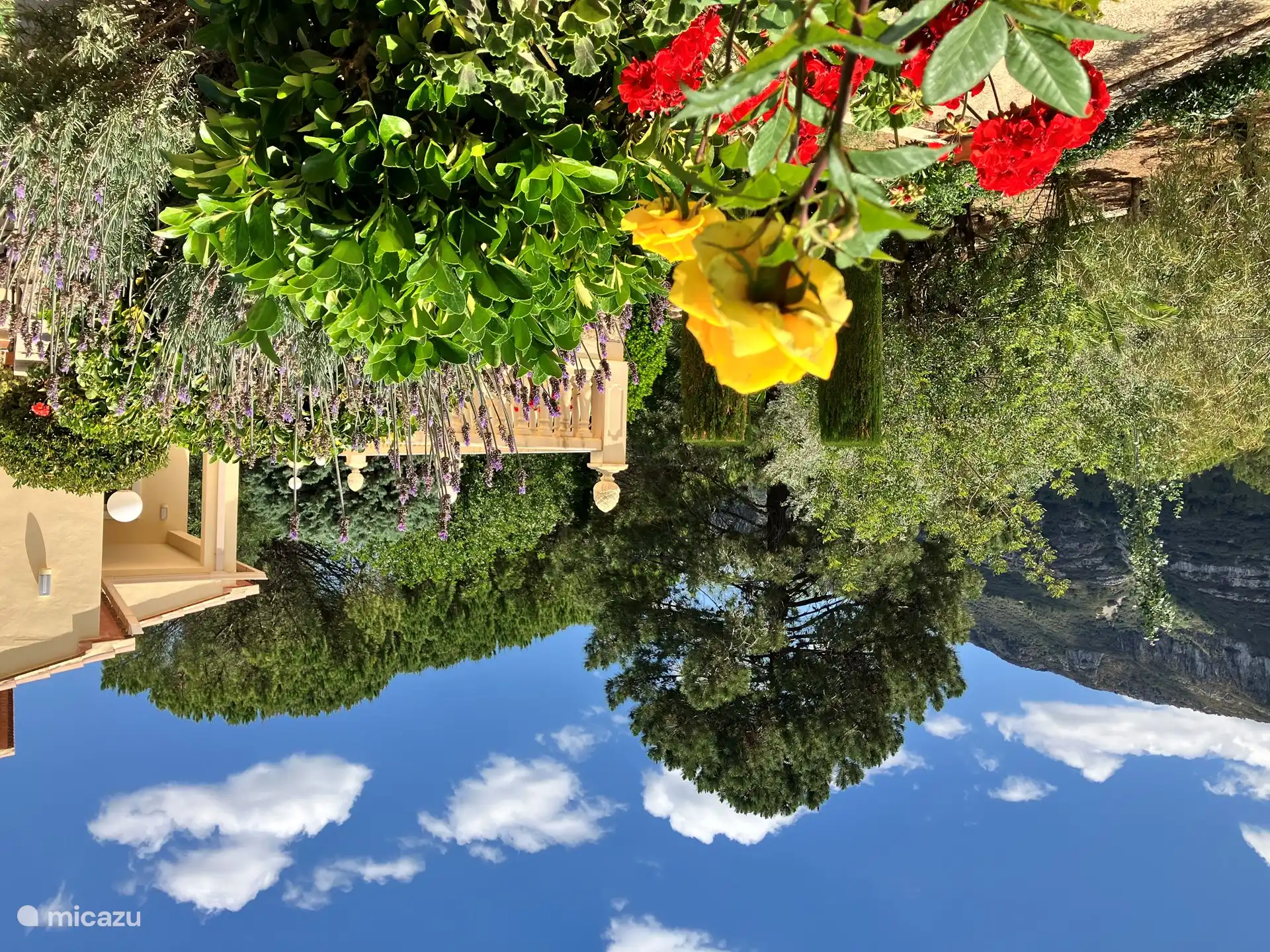 Blick von der Poolterrasse