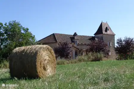 Vakantiehuis Frankrijk, Lot, Montcabrier - vakantiehuis Domaine de Fraysse hoofdhuis Domaine de Fraysse