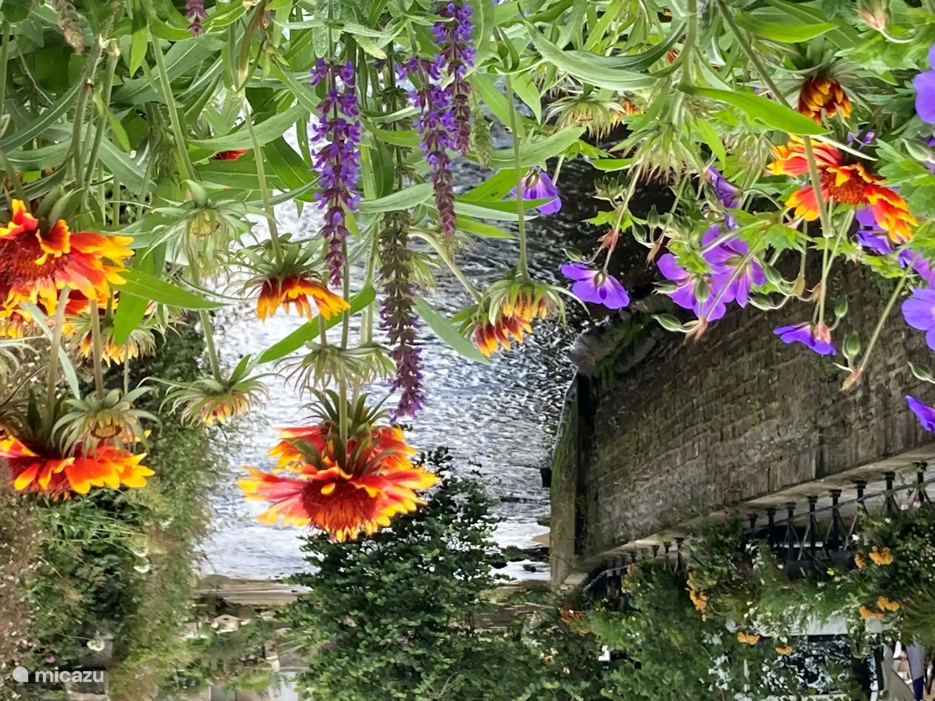 Quimper, 4 star flower city