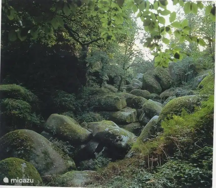 In the forests of Huelgoat