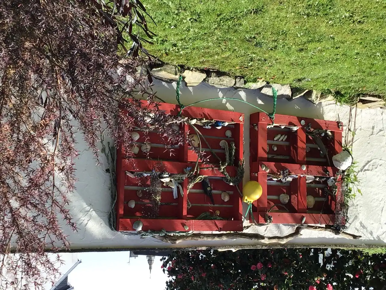 treasures from the ocean