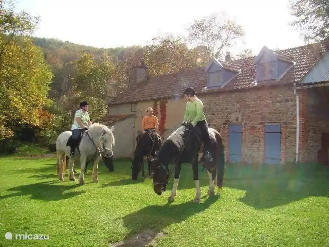 Location de Vacances France, Allier, Arfeuilles, ferme - La Goutte Bruyère Équitation jusqu'à la porte d'entrée