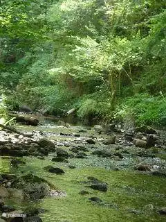 Creek near