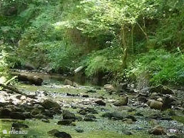 Location de Vacances France, Allier, Arfeuilles, ferme - La Goutte Bruyère Rivière à proximité