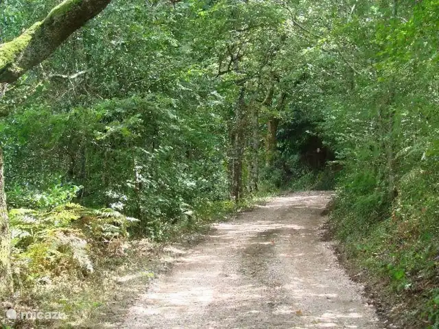 Location de Vacances France, Allier, Arfeuilles, ferme - La Goutte Bruyère L 'allée
