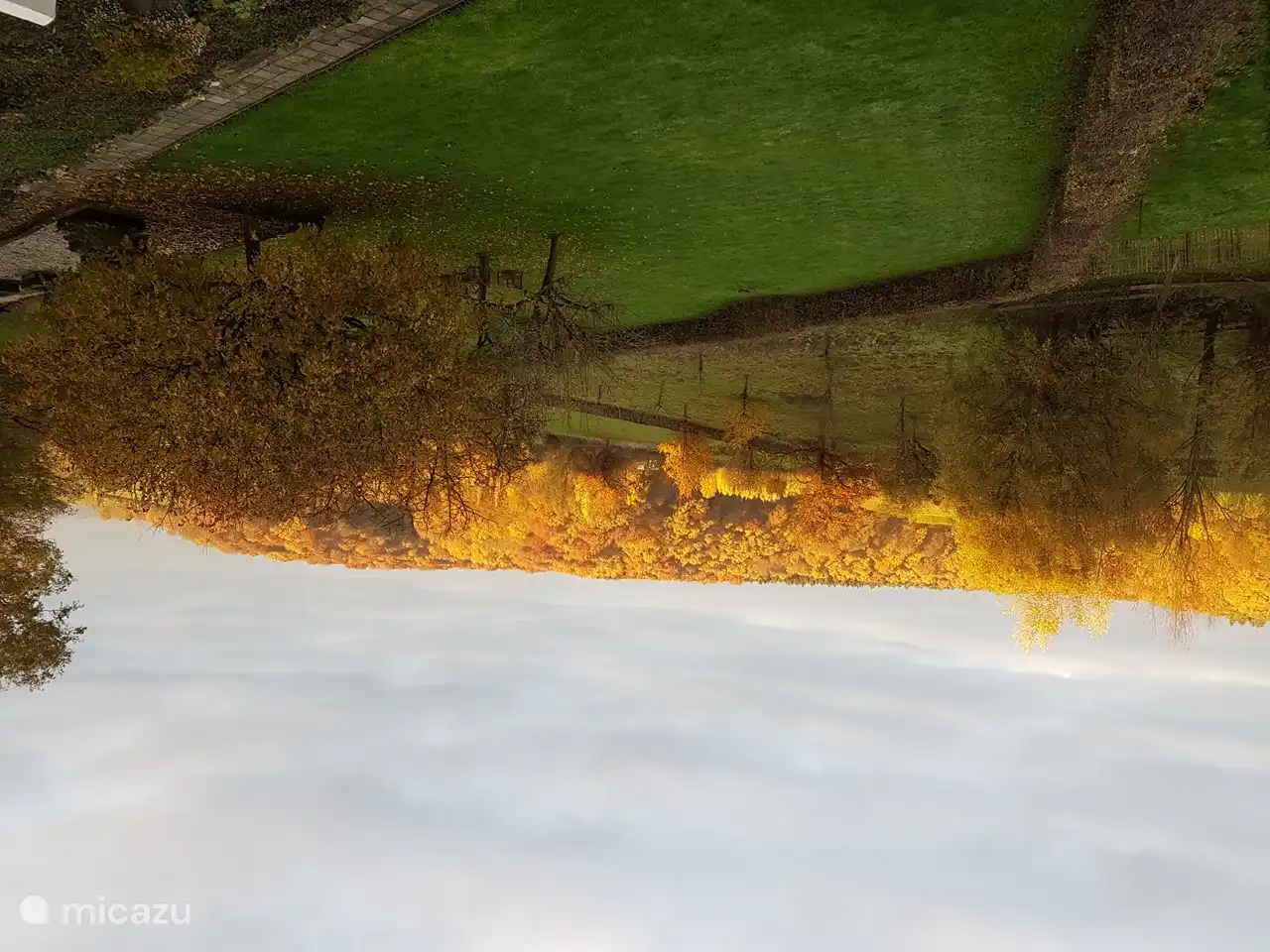 Der Obstgarten und der Hangwald in der Ferne in den schönsten Herbstfarben geschmückt ...