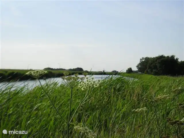 Uitgebreide vismogelijkheden in het park. Een paar honderd meter achter de vakantiewoning een prima visstek (ruime houten flonder). De tuin is overigens goed afgesloten door een hek