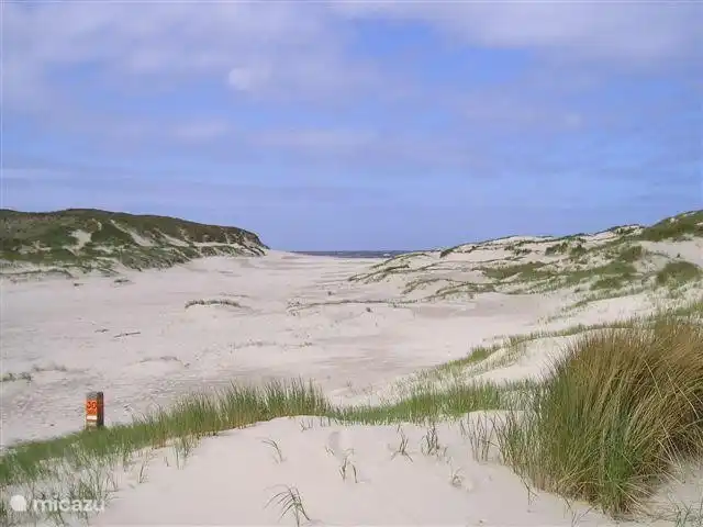 De Kerf; uniek natuurgebied, waarbij een opening is gemaakt in de duinenrij, zodat het zeewater vrij spel heeft in het achterliggende gebied. Dit zorgt voor unieke vegetatie en bijzonder landschap.
