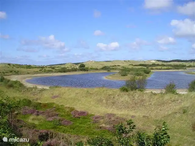 Het vogelmeer midden in de duinen