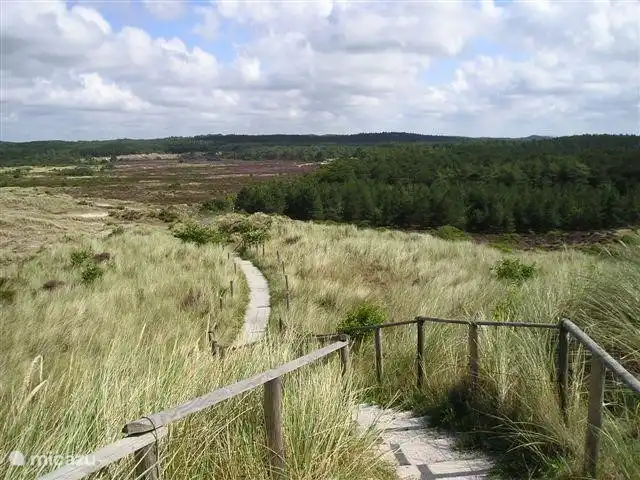 prachtige vergezichten in het meest uitgestrekte duingebied van Nederland met de hoogste duinenrij