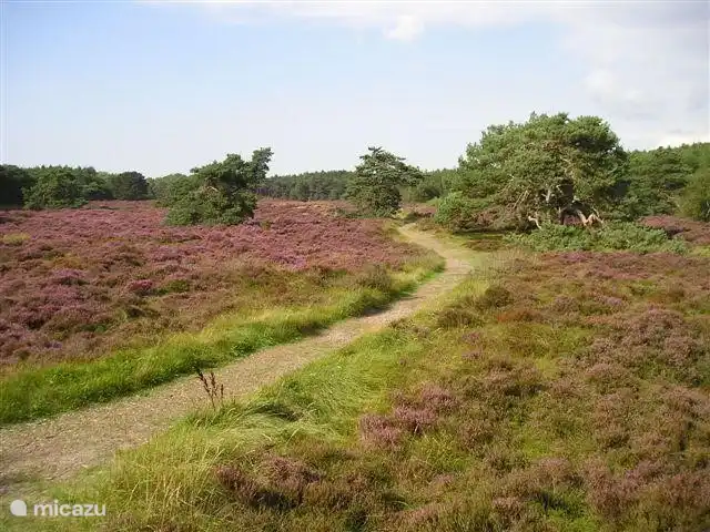 Elk jaar getijde weer een feest om de natuur te verkennen. Het is uniek natuurgebied met uitgebreide wandel- en fietsmogelijkheden. Ook groot mountainbike parcour. 