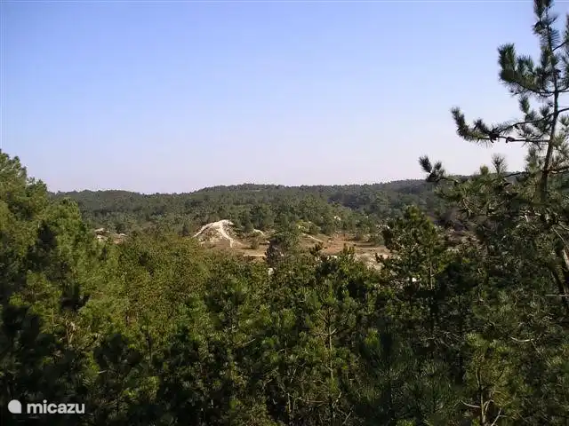 uitgestrekte bossen, met wandel, mountainbike en paardrijmogelijkheden.
In de Schoorlse duinen loopt een unieke mountainbike route.