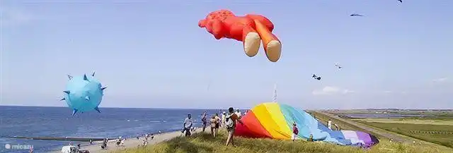 Spelen met de wind !