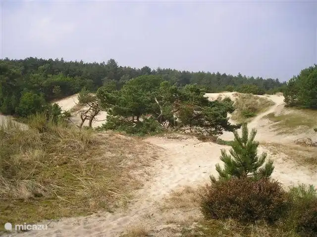 diverse zandverstuivingen