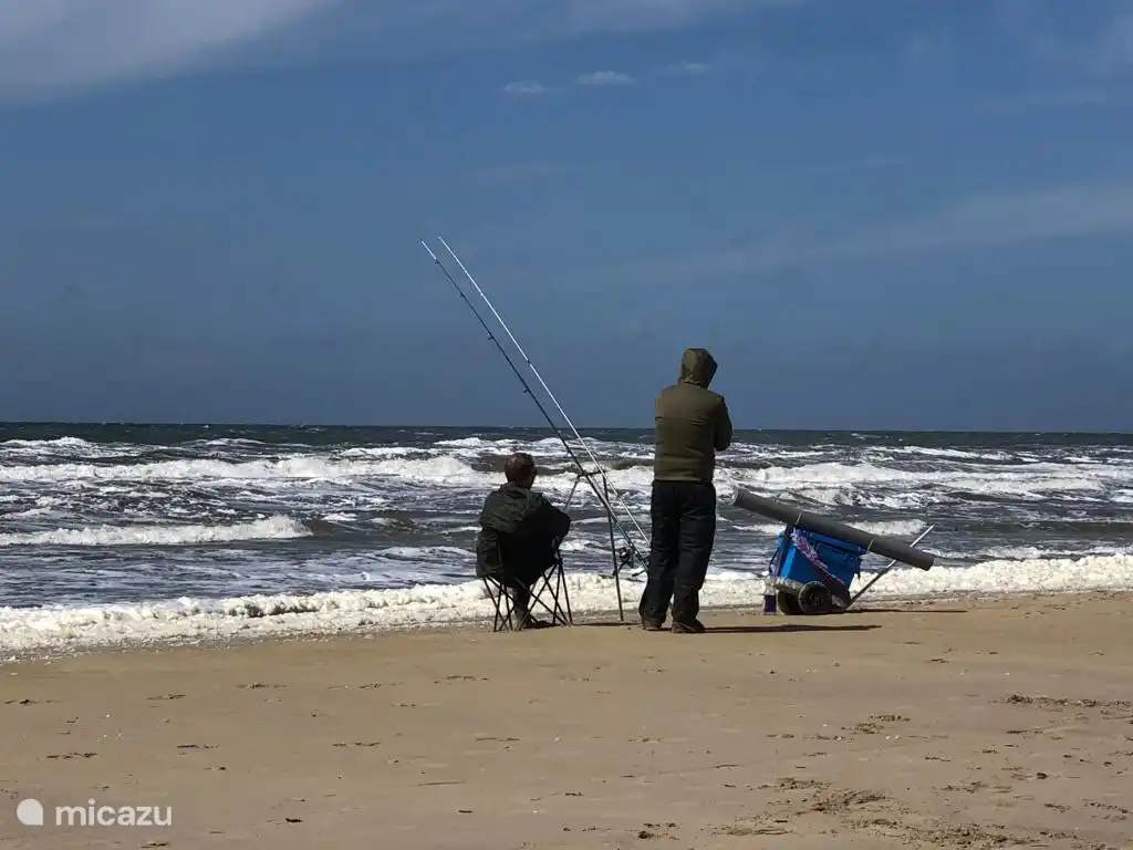 Noordzee vissen: door de ruime stranden hiervoor vol op mogelijkheden