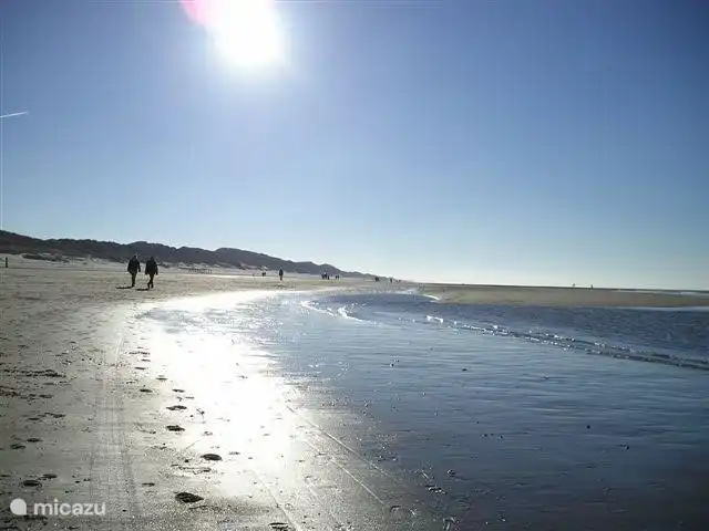 Der Gartengrasmücke in Niederlande, Nordholland, Schoorldam - Bungalow
