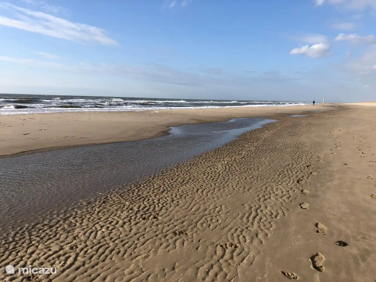 Der Gartengrasmücke in Niederlande, Nordholland, Schoorldam - Bungalow