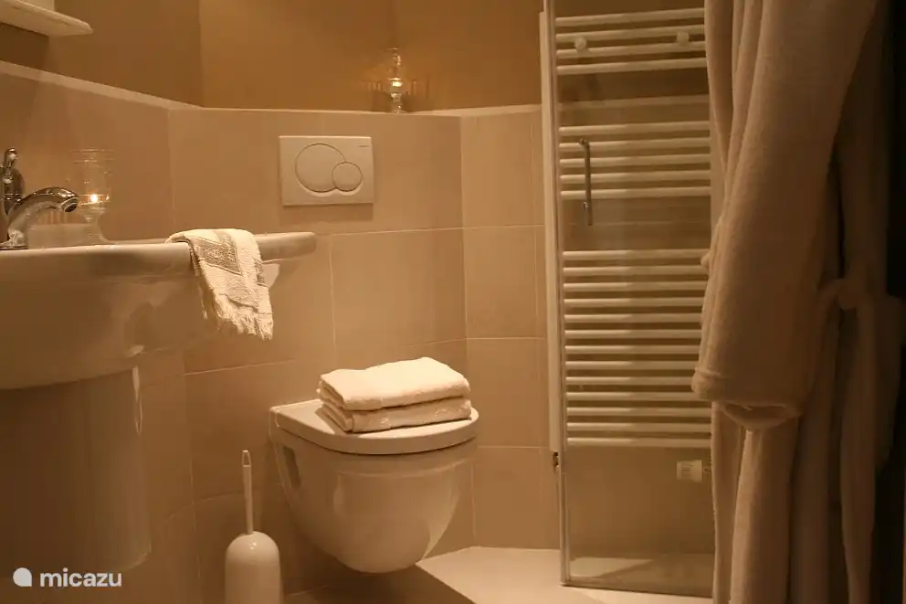 Das Badezimmer ist komplett renoviert und verfügt über ein geräumiges Duschbad mit einer herrlichen Regen- und Handbrause, einem Waschbecken und einem WC.