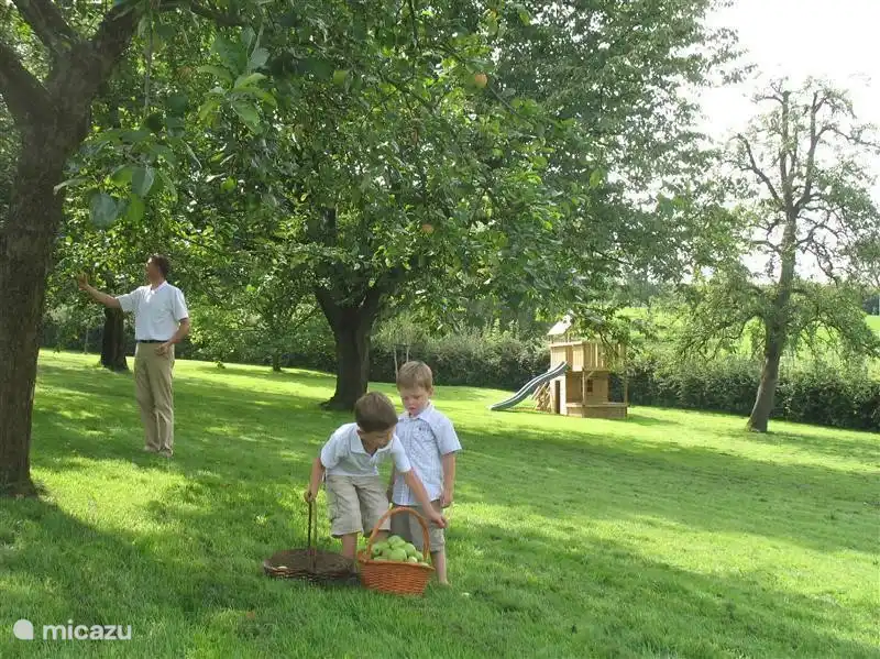 Im Obstgarten gibt es verschiedene Arten von Obstbäumen: Apfel, Birne, Kirschen und Pflaumen. Es handelt sich um biologische, nicht gespritzte Früchte, die Sie nach Herzenslust pflücken und probieren können. Es gibt auch Walnussbäume und einen großen Edelkastanienbaum.
