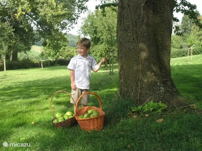 Son Thom zeigt den Erlös einer Stunde sammeln ;-)