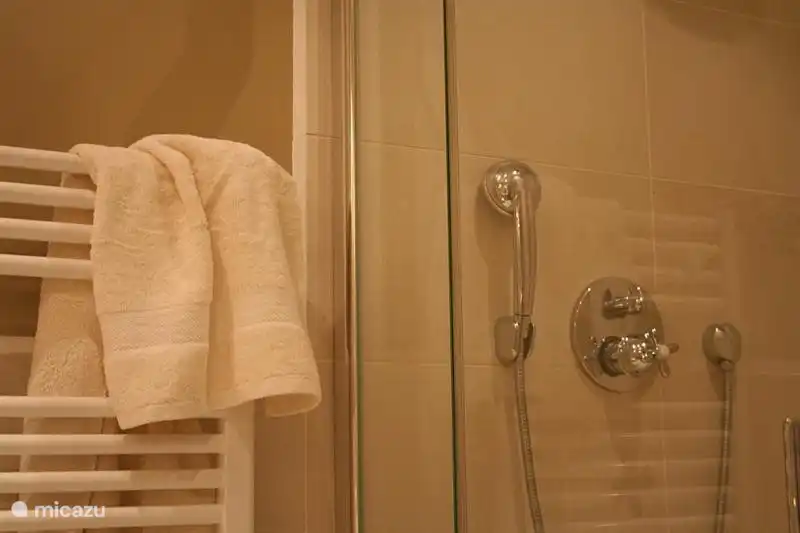 Detail / Bereich der Dusche mit eingebautem Thermostat. Genießen Sie einen schönen regen Dusche ...