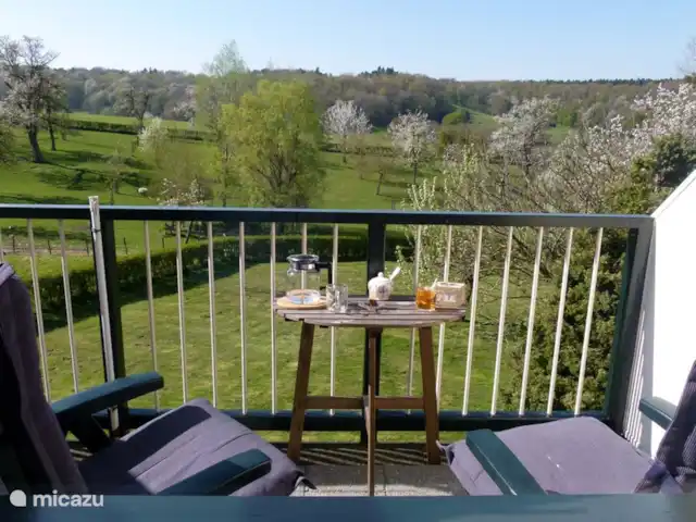 Buitenverblijf `t Herfse - 3 | Pays-Bas, Limbourg, Malines - ferme La vue depuis votre balcon privé ! Le balcon est équipé de deux chaises 5 positions avec coussins d'assise, d'une table de balcon et d'un grand parasol de 3 mètres de diamètre.