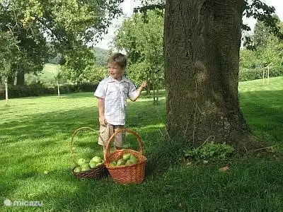 Sein Bruder Thom macht das Gleiche ;-)