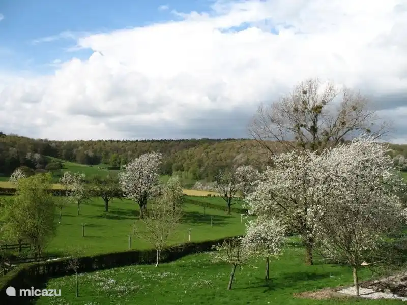 Ein malerischer Blick über die Hügel von Süd-Limburg ... Diese Ansicht können Sie direkt zu genießen aus dem Wohnzimmer und dem angrenzenden Balkon!