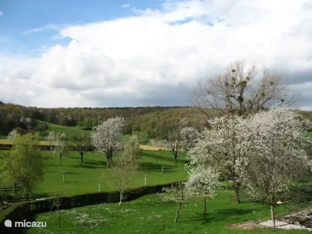 Buitenverblijf `t Herfse - 3 | Pays-Bas, Limbourg, Malines - ferme Une vue pittoresque sur les collines du sud du Limbourg... vous pouvez profiter de cette vue directement depuis le salon et le balcon attenant !