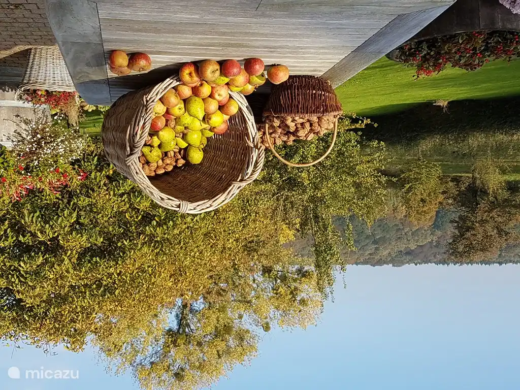 Äpfel, Birnen und Walnüsse aus dem Obstgarten im September und Oktober ...