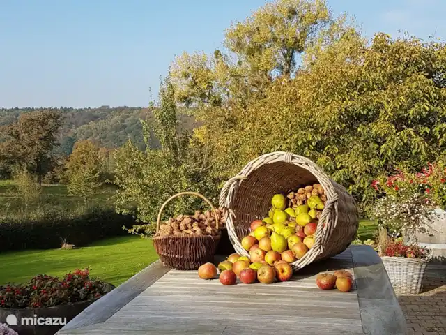 Buitenverblijf `t Herfse - 3 | Pays-Bas, Limbourg, Malines - ferme Pommes, poires et noix du verger en septembre et octobre......