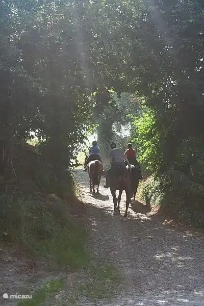 Auf dem Fußweg zwischen Schweiberg und Epen (in der Nähe unserer Farm).