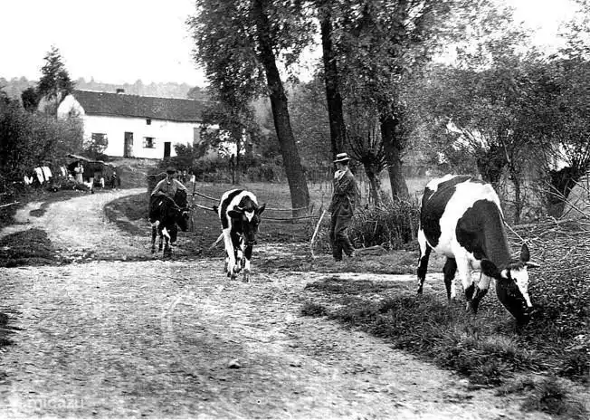 Wie bereits zuvor einmal war ...