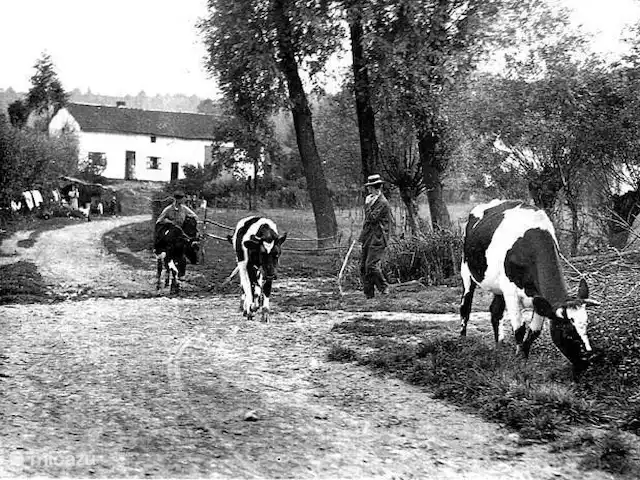 Buitenverblijf `t Herfse - 3 | Pays-Bas, Limbourg, Malines - ferme Comme c'était le cas...