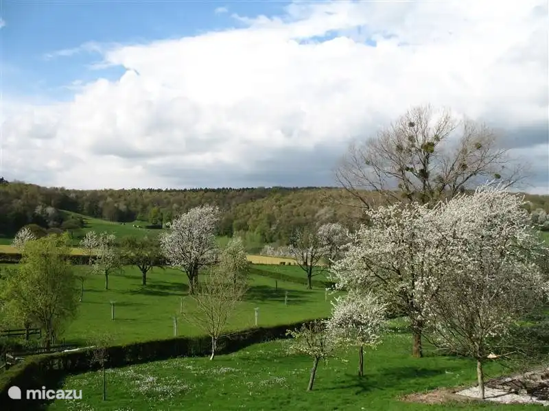 Mit Blick auf die malerischen Hügel von Limburg. Von diesem Bild, das Sie jeden Tag direkt von Ihrer Wohnung.