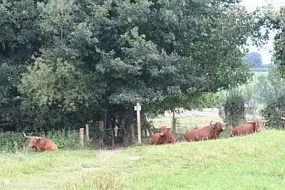 Kostenlose Wanderung auf Straßen und Wegen ... gut ...