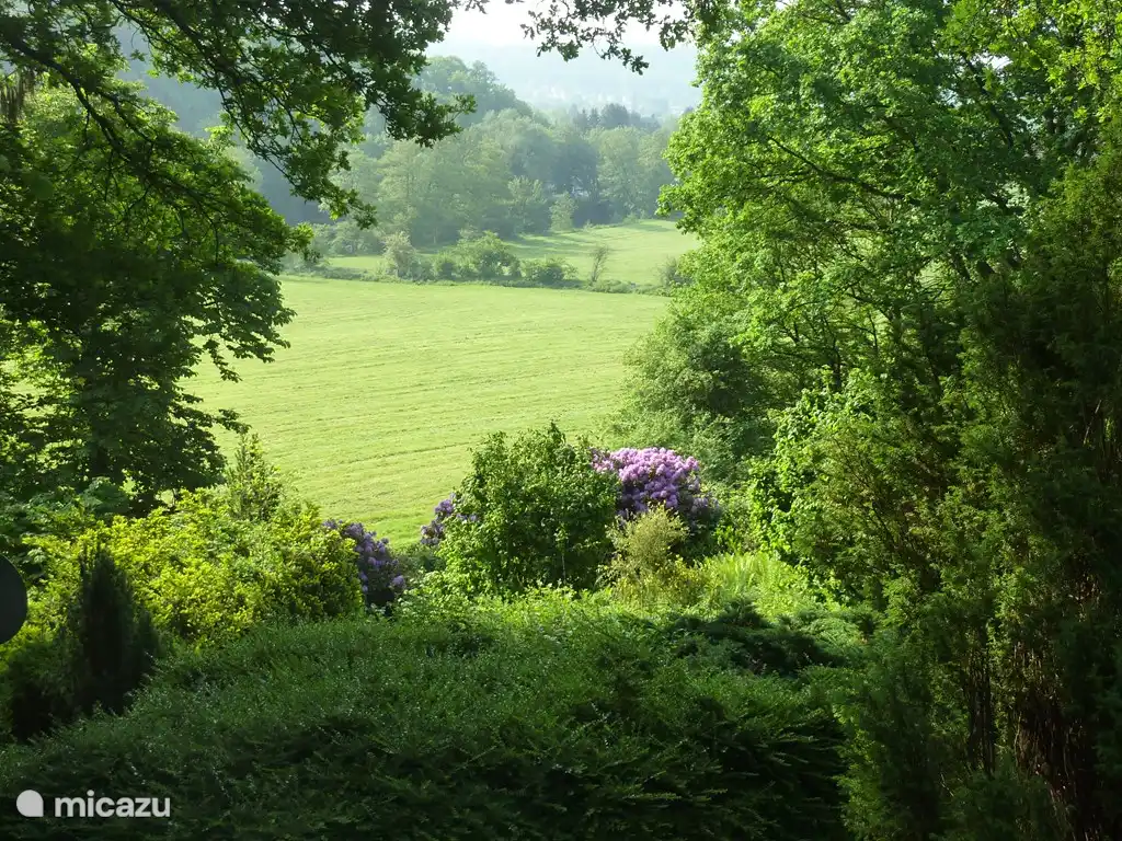 Blick auf die Wiesen