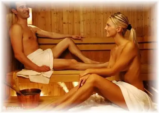 Wellness area with sauna and relaxation area