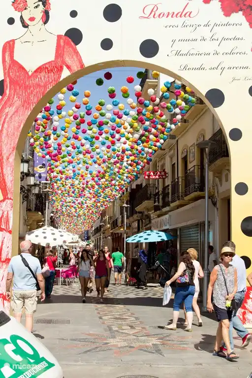 parties Ronda