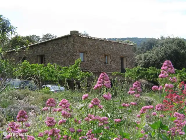 Location de Vacances France, Gard, Molières-sur-Cèze, maison de vacances - Maison 4 saisons pour 6 personnes Location de Vacances France, Gard, Molières-sur-Cèze, maison de vacances - Maison 4 saisons pour 6 personnes