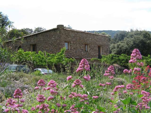Holiday home in France, Gard, Molières-sur-Cèze - holiday house 4-season house for 6 people